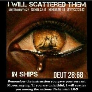 Meet your Posher, Lanette